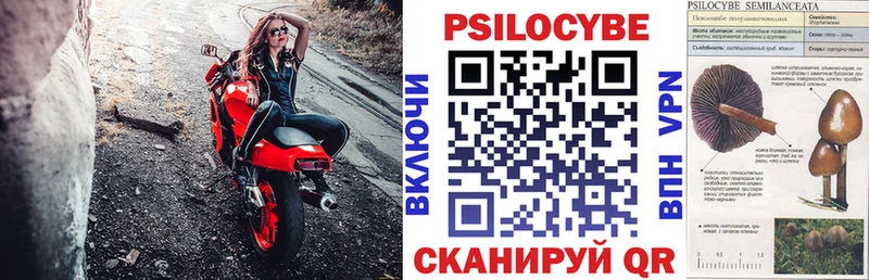 Псилоцибиновые грибы мицелий  Шебекино 